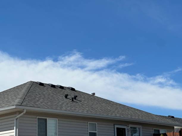 Best Sheet Metal Roofing  in Cornwells Heights, PA